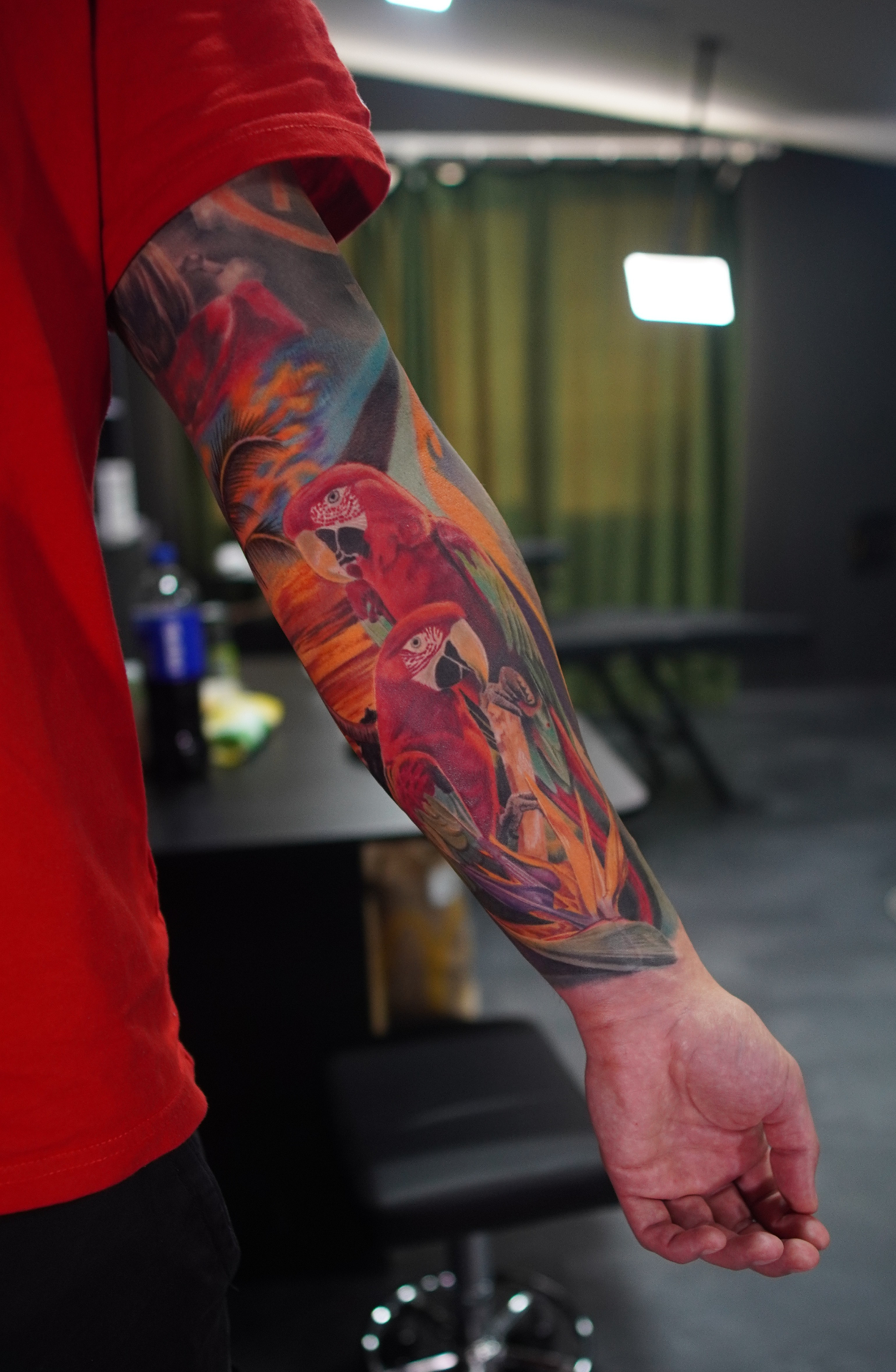 Macaws — Sleeve